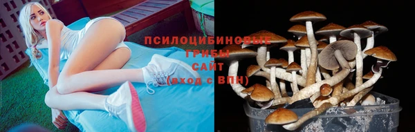 твердый Пролетарск