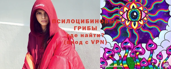 ALPHA PVP Ленск