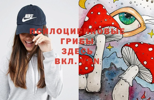 a pvp Протвино