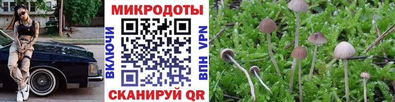 как найти   Сурск  Псилоцибиновые грибы Cubensis 